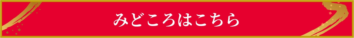 みどころはこちら